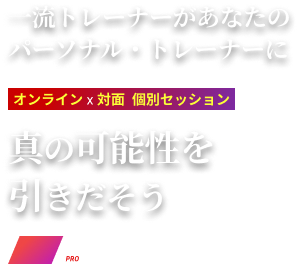 SPORTICS スポーティックス /// 経験豊富な有資格プロトレーナー